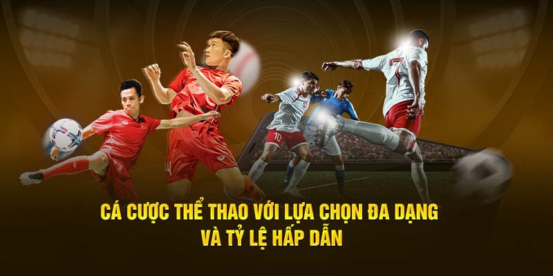 the-thao-tai-79king-cung-cap-da-dang-bo-mon-dap-ung-nhu-cau-giai-tri-nguoi-choi